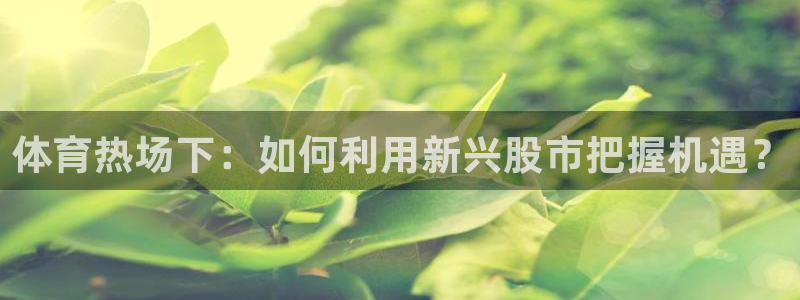 体育热场下：如何利用新兴股市把握机遇？